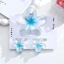 WhatsApp Image 2026-03-25 at 03.31.59 (1).webp