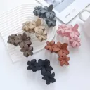 Claw Clip